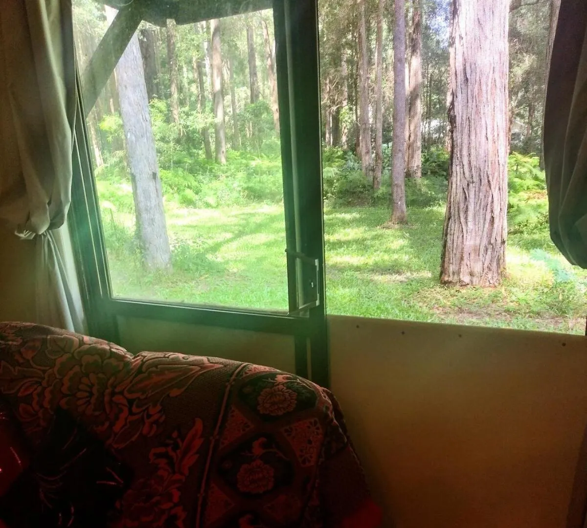 The Homestead -History And Charm Peachester